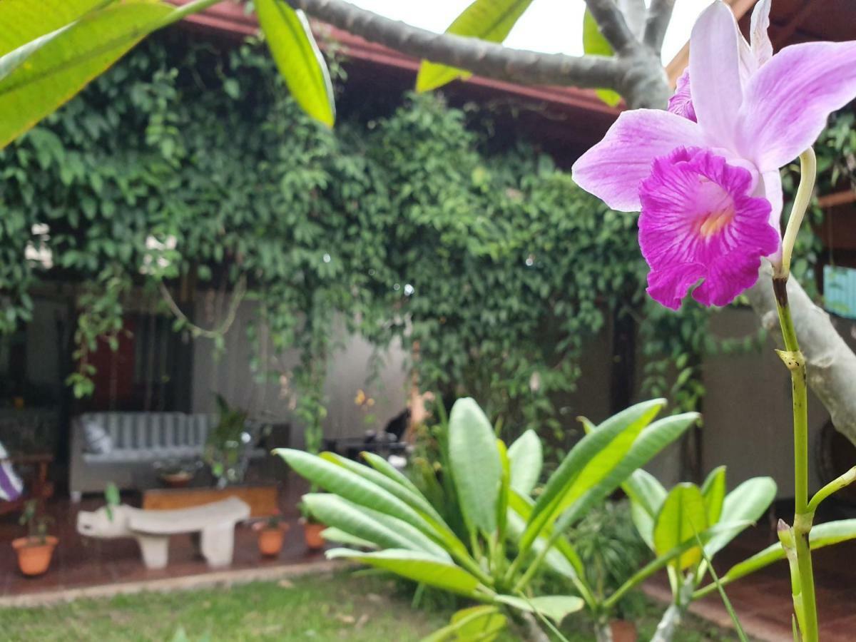 Turrialba Bed & Breakfast Exterior foto